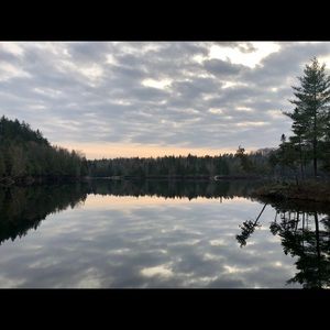 Meet your Posher, Anne-marie